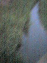 040626_1914~001.jpg