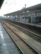 8d9b777d.jpg