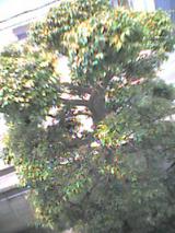 c24d8505.jpg