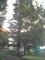 e5c769a9.jpg
