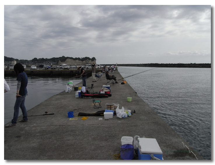 茨城大津港でイシモチ シャコ 街に出よう 日常編