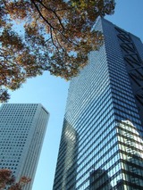 新宿ビルと紅葉
