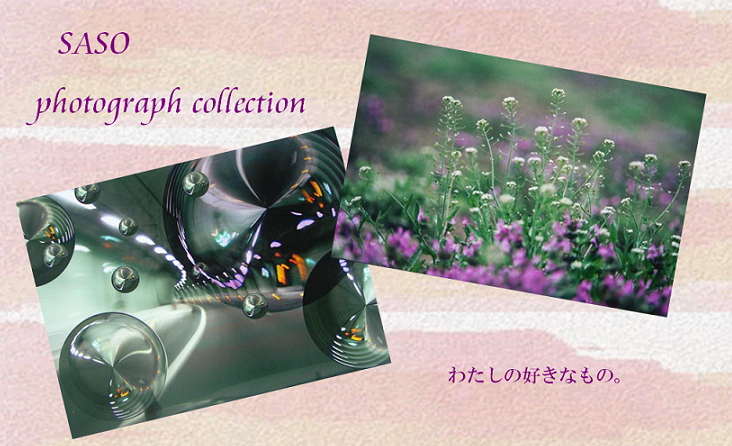 SASO photo collection