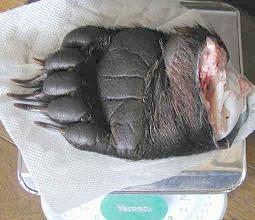 おぞまたのしい 日刊 ごはん主義のすすめ