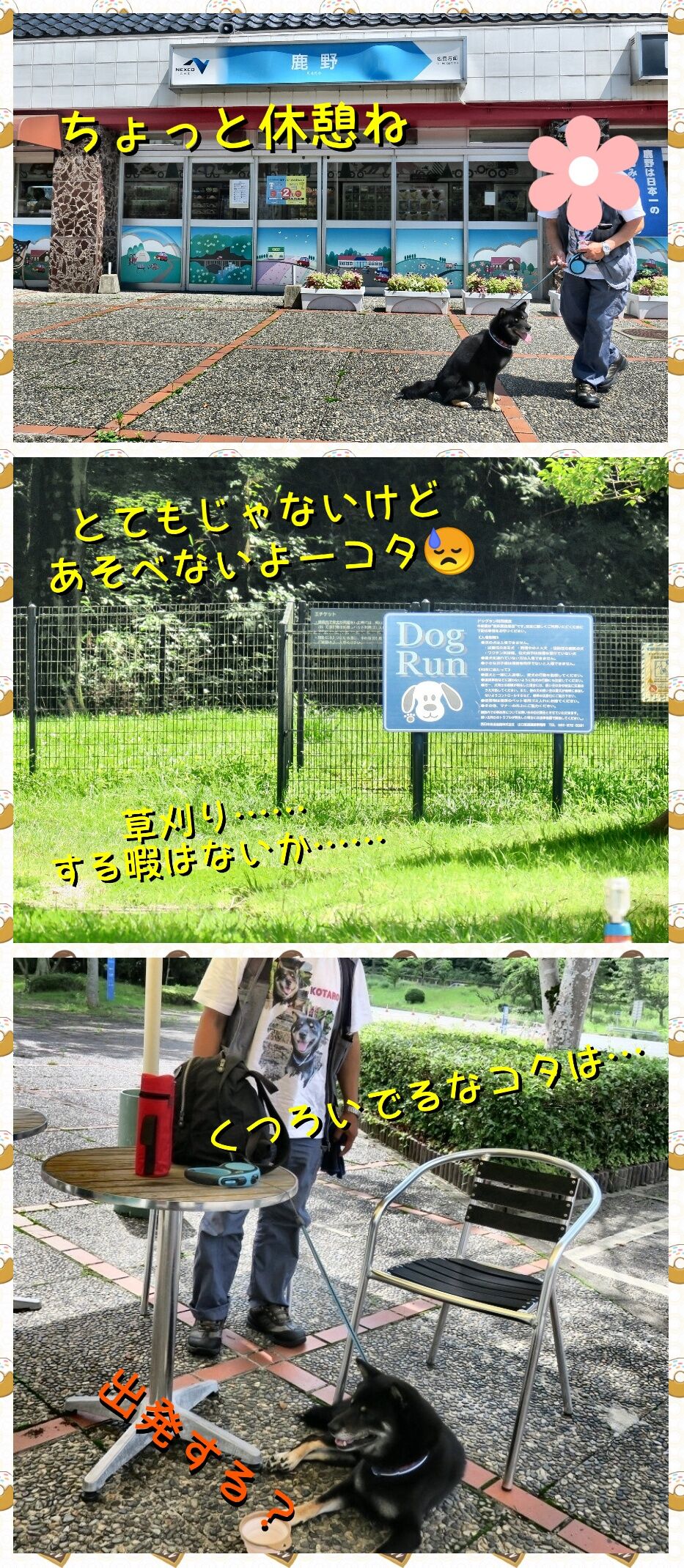 7 30 木 周南市鹿野町長野山 天空のカフェ そして 農家レストラン たぬき さん コタ君テラス席でくつろげました 黒柴犬虎太朗 7 30 木 周南市鹿野町長野山 天空のカフェ そして 農家レストラン たぬき さん コタ君テラス席でくつろげました 黒柴犬虎太朗