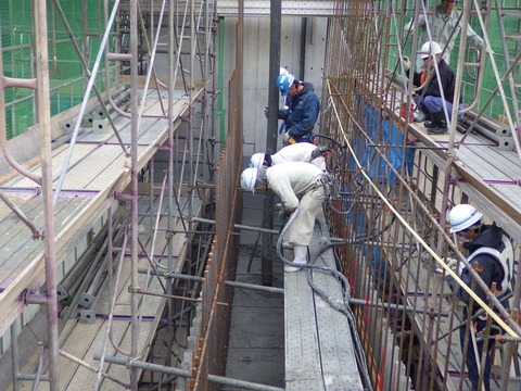 RIMG2664