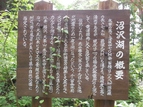 DSCN3279