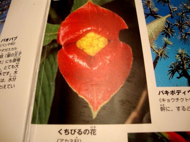 たっきーママ＠＊＊happy kitchen＊＊