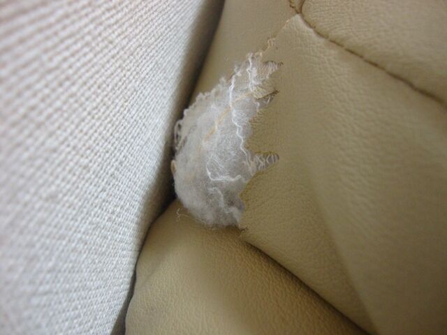 たっきーママ@**happy kitchen**