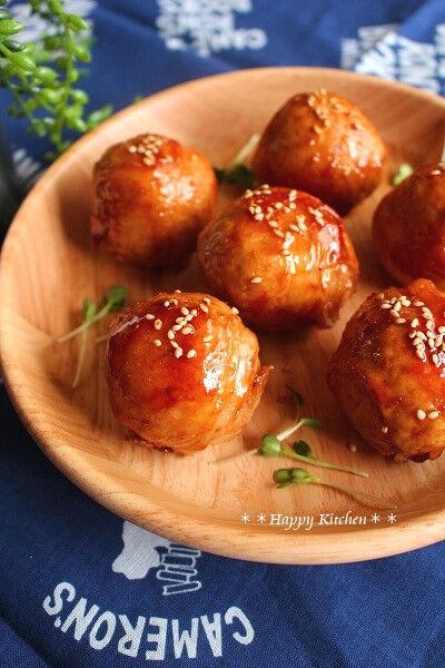 o0400060013189306663