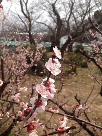 たっきーママ＠＊＊happy kitchen＊＊