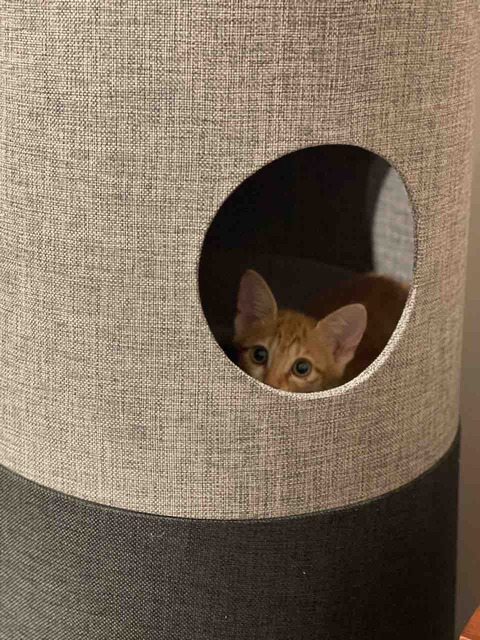 FullSizeRender