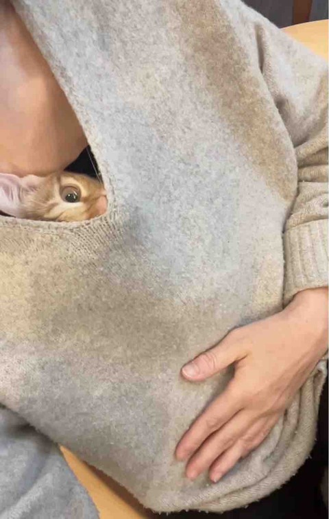 FullSizeRender