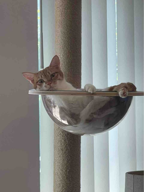 FullSizeRender