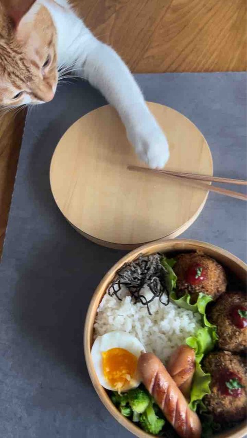 FullSizeRender