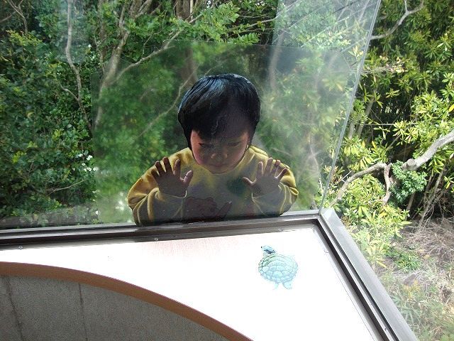 たっきーママ＠＊＊happy kitchen＊＊