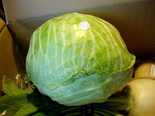 たっきーママ@**happy kitchen**