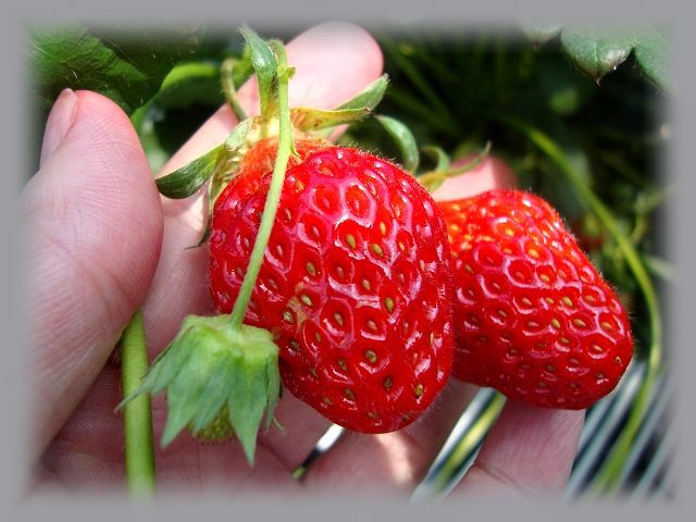 たっきーママ@**happy kitchen**