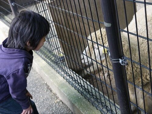 たっきーママ@**happy kitchen**