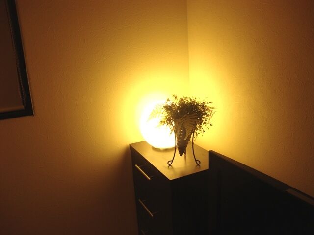 たっきーママ@**happy kitchen**