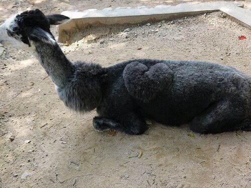 たっきーママ@**happy kitchen**