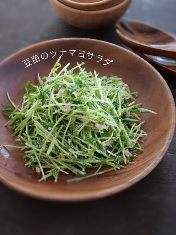 a6005a80.jpg