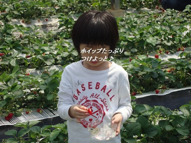 たっきーママ@**happy kitchen**