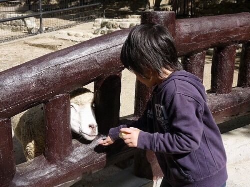 たっきーママ@**happy kitchen**