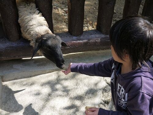たっきーママ@**happy kitchen**