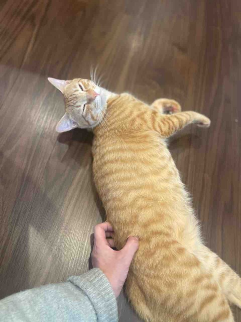FullSizeRender