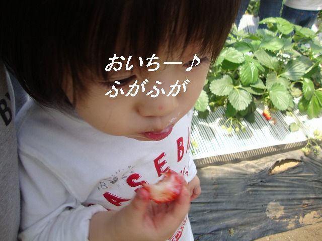 たっきーママ@**happy kitchen**