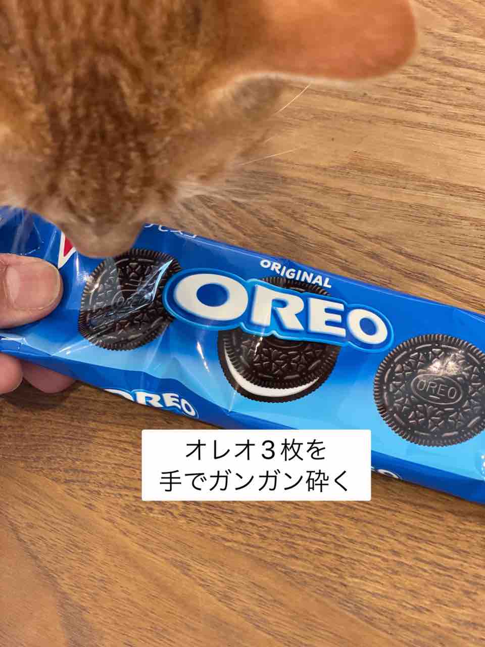 市販のチョコミントアイスで！【ザクザクチョコミントチーズアイス