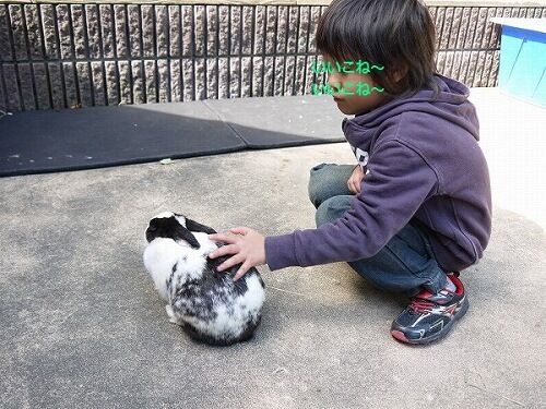 たっきーママ@**happy kitchen**