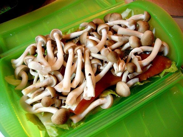 たっきーママ＠＊＊happy kitchen＊＊