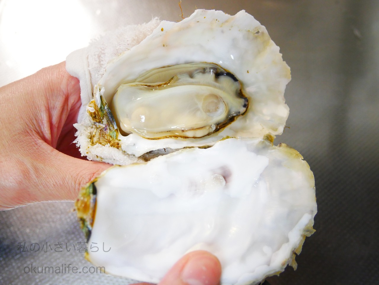 牡蠣 レンジ 付き 殻 殻付き牡蠣は、レンジでチンが簡単。 レシピ・作り方
