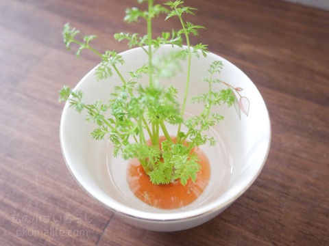 P1350701