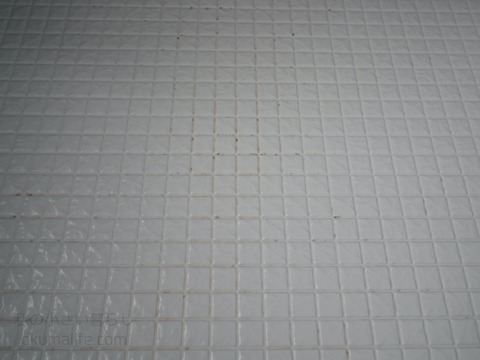 P1310270