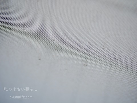 P1410237