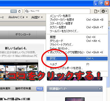 クリックで拡大します! safari4mojibake2