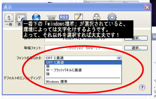 クリックで拡大します! safari4mojibake4