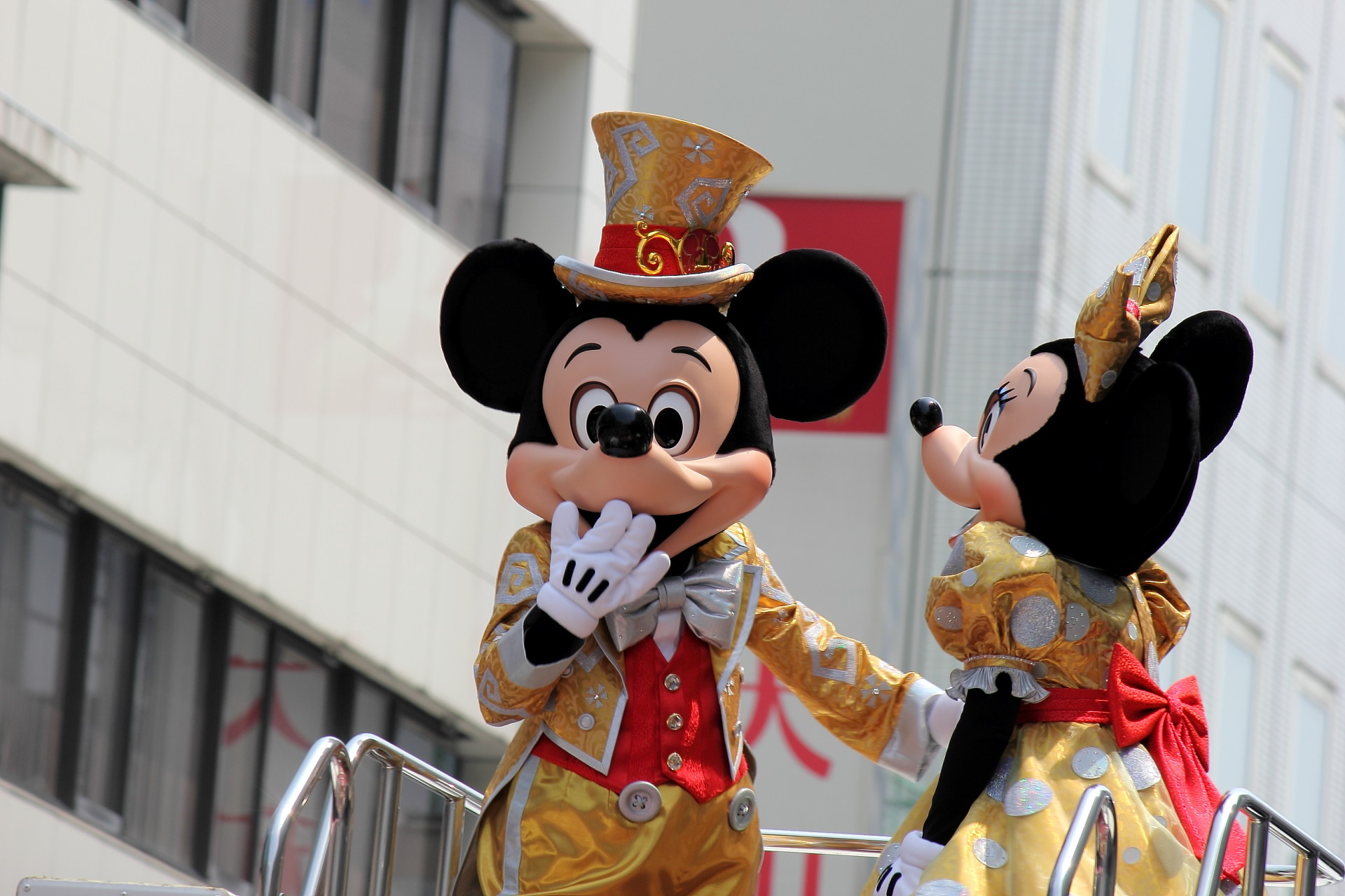 今日は新潟祭りその2 かまぼこキノコ 今日は新潟祭りその2 かまぼこキノコ