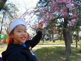 DSCN0361