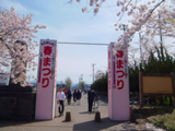 処理済〜DSCF9289