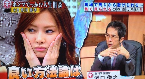 ホンマでっかTV 北川景子