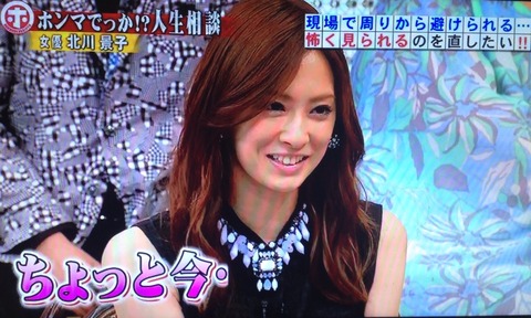 ホンマでっかTV 北川景子