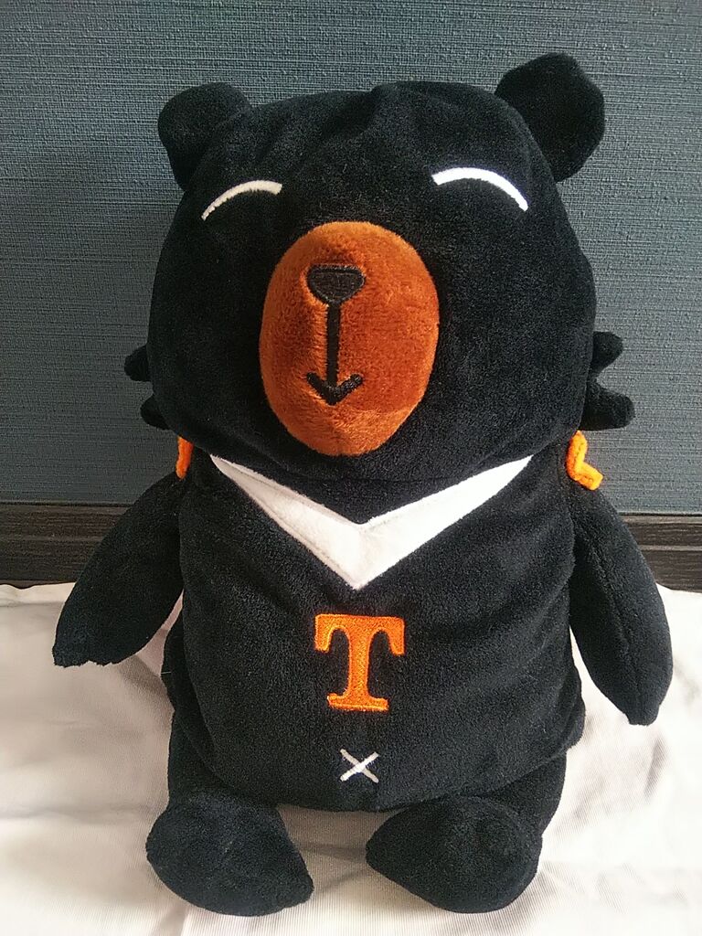 新品未使用【お値下げ中】伊勢湾台風頃のくまの玩具♡♡♡ 台湾観光局のキャラクター喔熊(オーベア) : kuma夫婦の台湾旅行