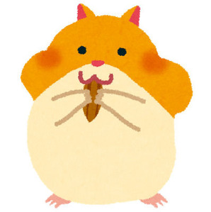 animal_hamster