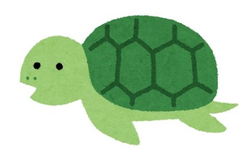 character_turtle_oya