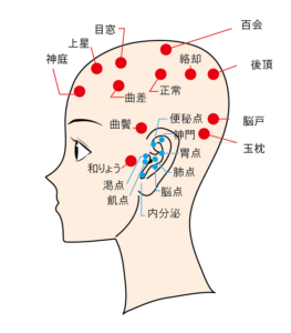 頭のツボ