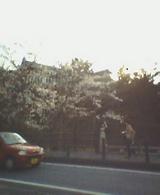 20040329_1646_0000.jpg